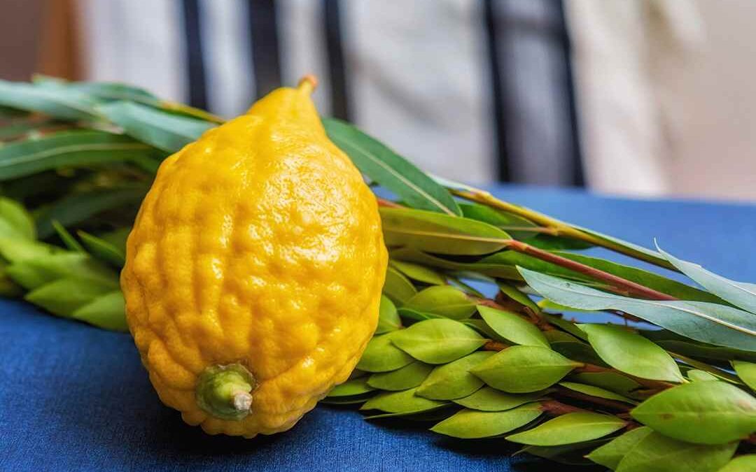 Sukkot Celebration